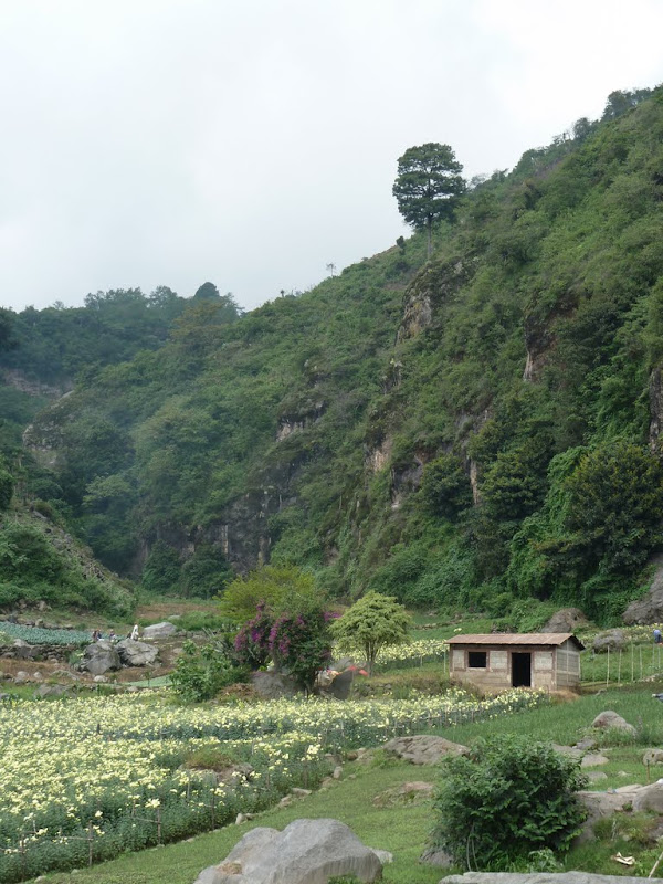 P1020373.JPG