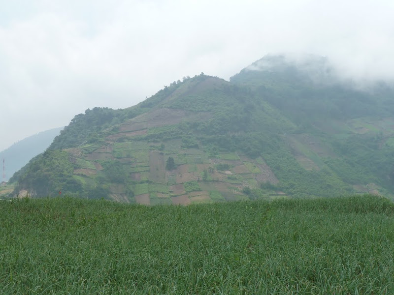 P1020377.JPG