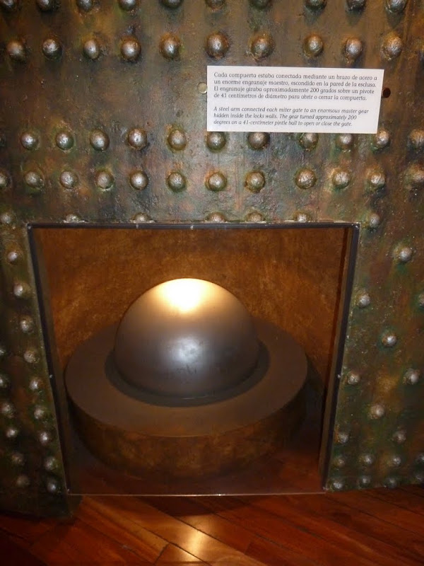 P1030130.JPG