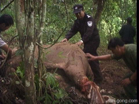 [929742_200812081054051[2].jpg]