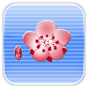 China Airlines mobile app icon