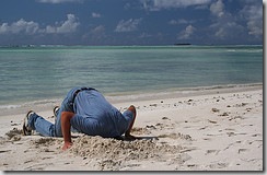 Tête dans le sable