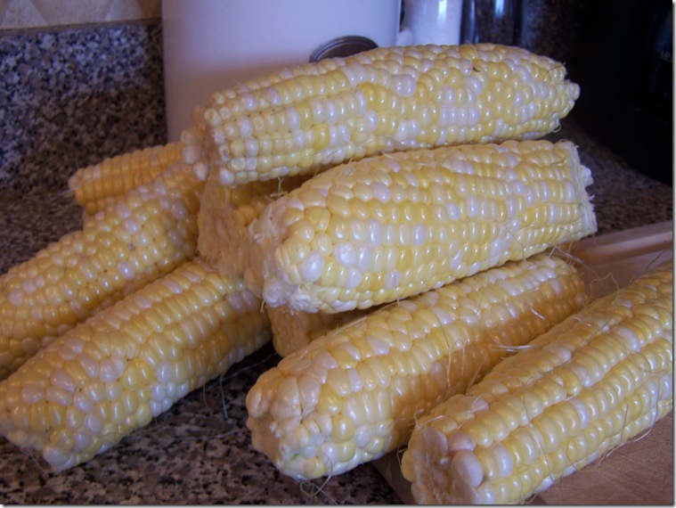 Corn 009