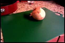 The lonely onion.  So sad.  I might cry.  HAH!