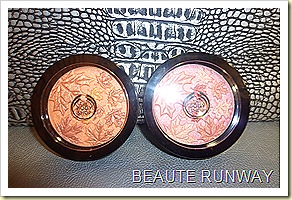 The Body Shop Autumn Smoke & Fire 2010 Collection Pressed Powder Compact
