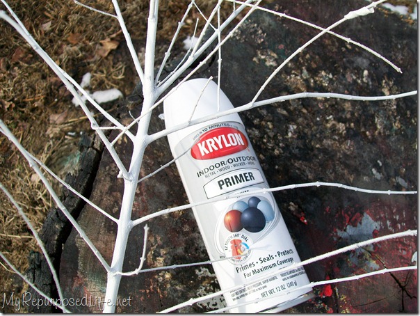 Krylon white primer used to paint a tree branch