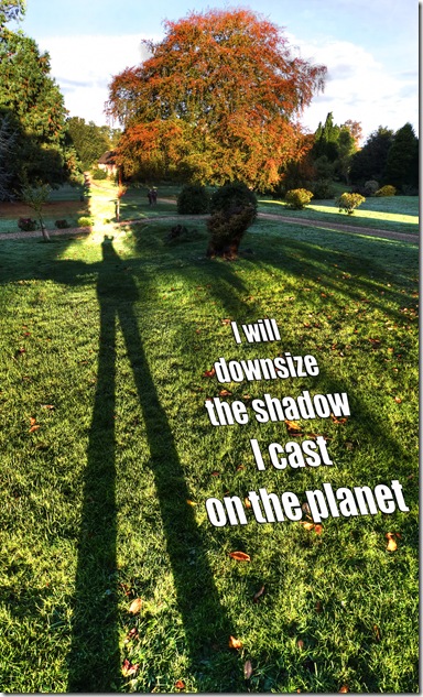 i will downsize the shadow I cast on the planet