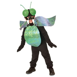 bug-eyed-bug-costume-halloween-craft-photo-420-FF1005COSTA08