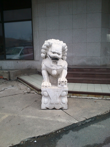 Китайский Лев