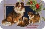 122509 thumbnailCAC4712C vintage christmas card dogs