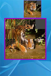 Custom Sliding Puzzle poster 5