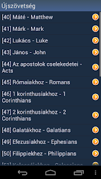 Hungarian Holy Bible poster 4