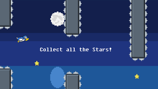 Birdy Flap: Collect the Stars