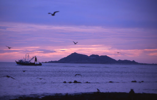 Puerto Peñasco (Rocky Point) Sonora México.