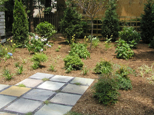 f/s patio with stepable plants in between squares