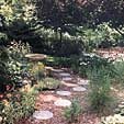 step stone path cuts through the garden bed