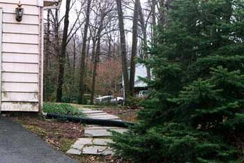 How inviting is this front walk? Not.