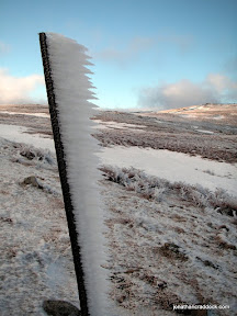 Frozen fence post