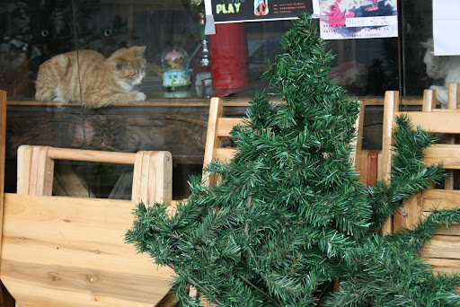 Отец моего сына... сам Бог, ой:) 