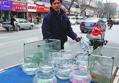 谁吃了我的鱼?