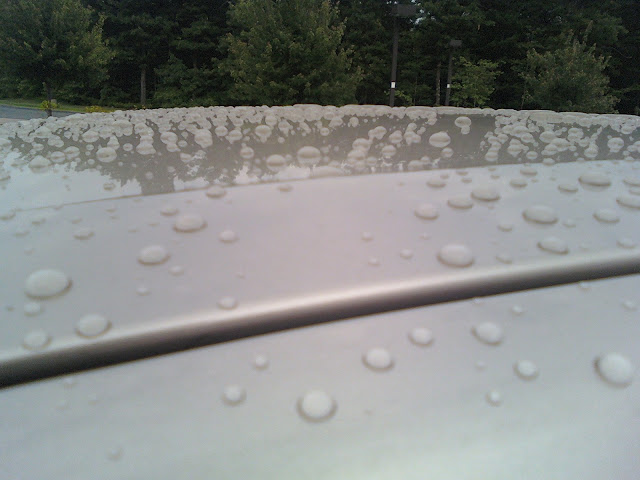 0616001810.jpg