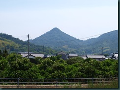 P5201061 P5201061