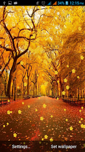 Download Autumn Leaves Live Wallpaper APK for Android
