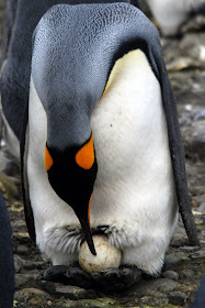 DSC_3884.JPG
