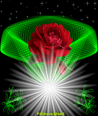 flor.png