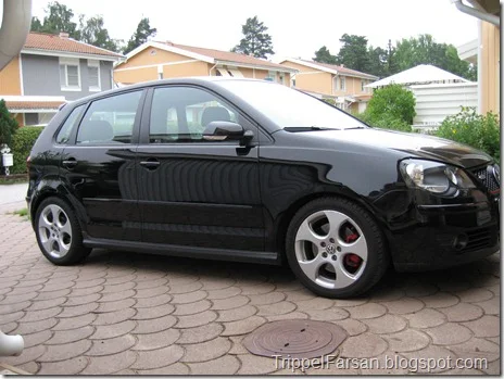 Polo 003