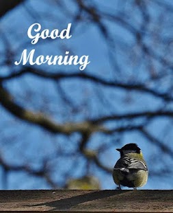 Free Download Good Morning Images 3 APK for Android