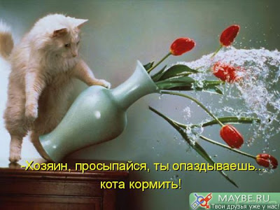 http://lh5.ggpht.com/_V7PBSO8dEH4/TLw98EYkvJI/AAAAAAAAABs/MlHhHjkCmRY/s400/%D0%A5%D0%BE%D0%B7%D1%8F%D0%B8%D0%BD%2C%20%D0%BF%D1%80%D0%BE%D1%81%D1%8B%D0%BF%D0%B0%D0%B9%D1%81%D1%8F.jpg