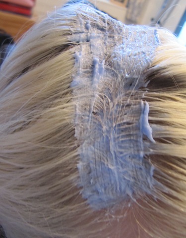 [hairbleach 114[3].jpg]