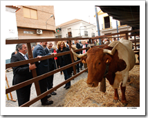 El presidente de Castilla-La Mancha, José María Barreda, acompañado de su esposa, Clementina Díez de Baldeón, asistió a la apertura de las II Jornadas Culturales para la Recuperación de la Feria de Ganado de Marzo, en Almodóvar del Campo.