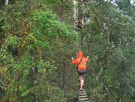 Noslek Canopy walk, Cagayan De Oro