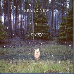 brand_new-daisy