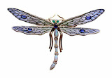 Tiffany&Co Dragonfly.jpg