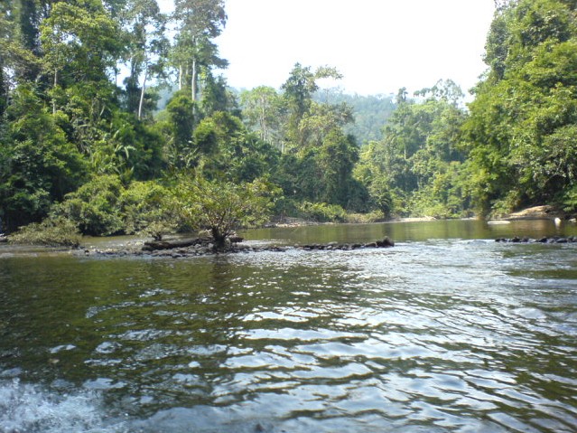 i like the river they....