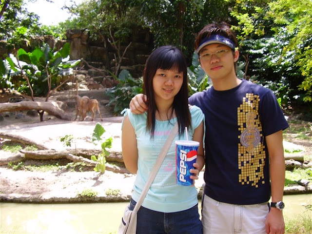 zoo, sg