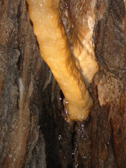 像不像。。。。