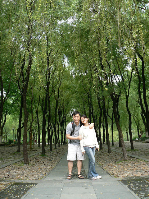 我和妳，柳树下