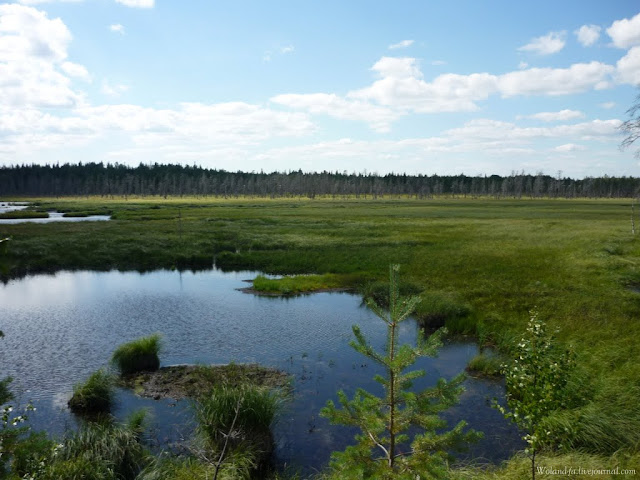Осударева дорога. Карелия 2010. 
