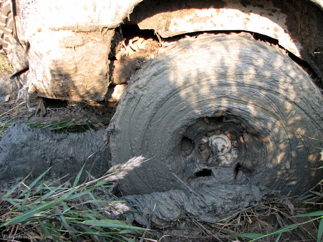 Осударева дорога. Карелия 2010. 