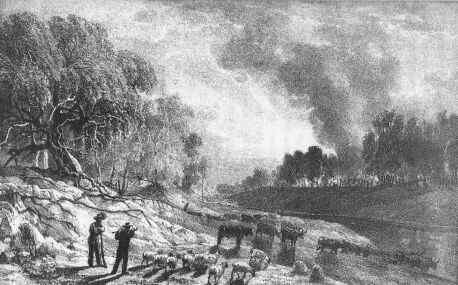[Bushfire, Victoria, 1851[4].jpg]