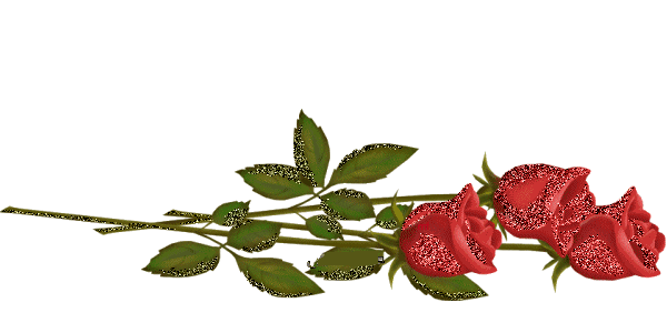 rosayn3.png