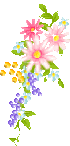 18.png