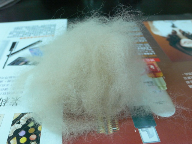 [P1010324_resize[8].jpg]