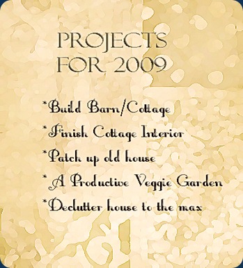 projects 2009