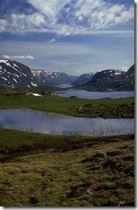 hardangervidda