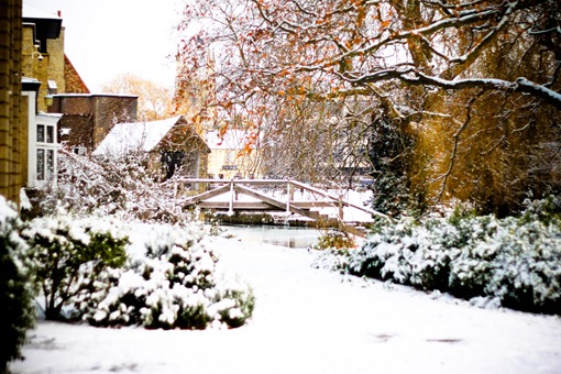 Cambridge Snow-148
